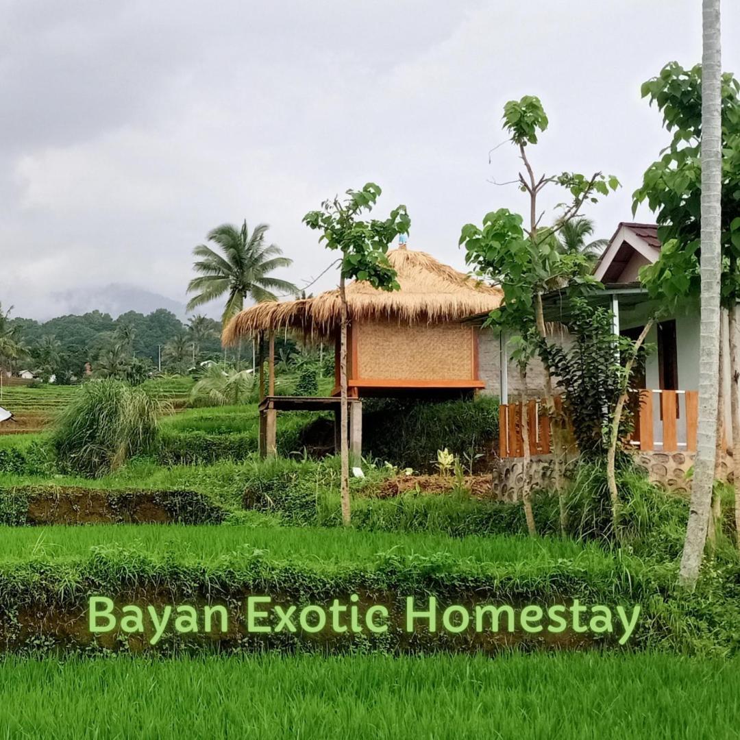 Bayan Exotic Homestay Сенару Екстериор снимка