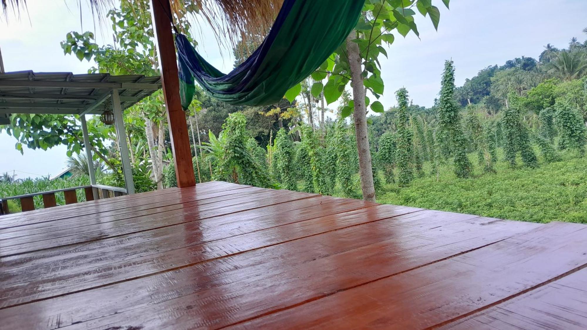 Bayan Exotic Homestay Сенару Екстериор снимка